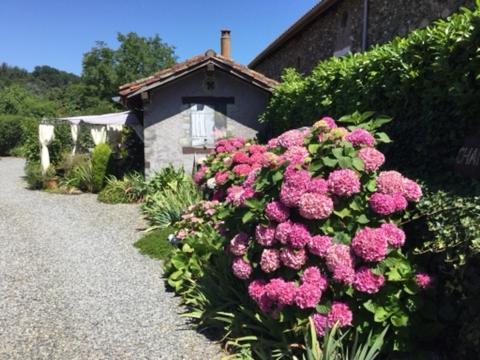Bed and Breakfast Loft Atypique Villeneuve-de-Riviere Екстер'єр фото